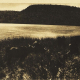 embed image