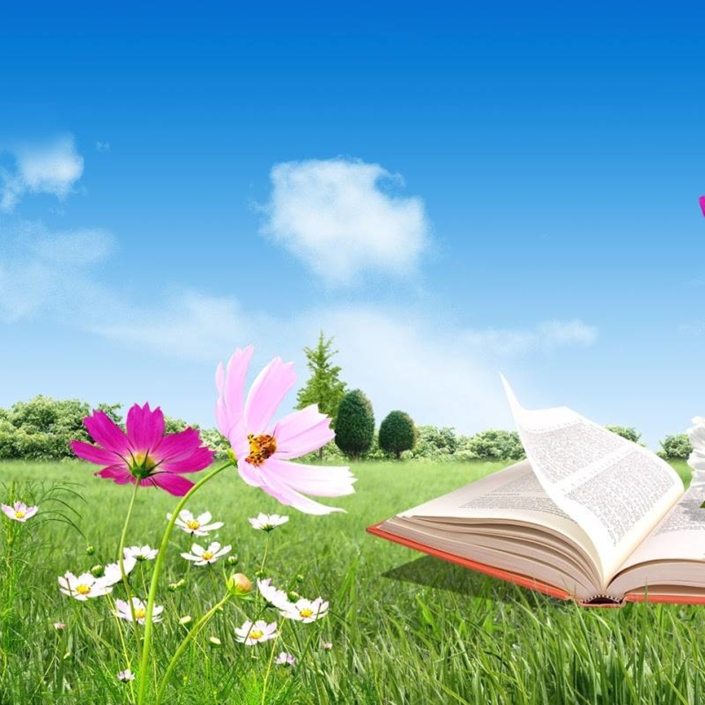 Podcast de RadioZurqui