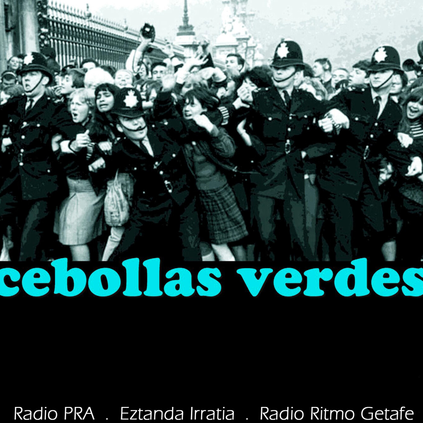 Cebollas Verdes