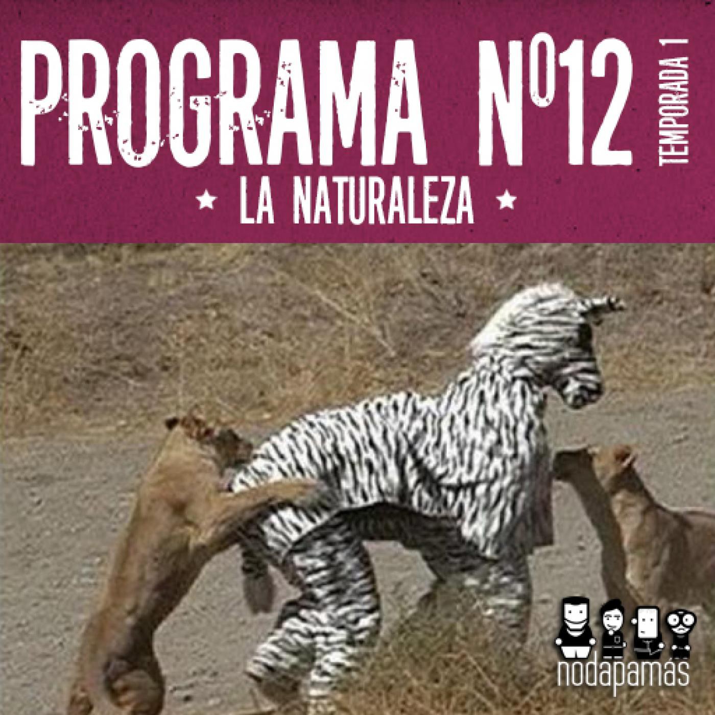 nodapamás 1x12 - La Naturaleza