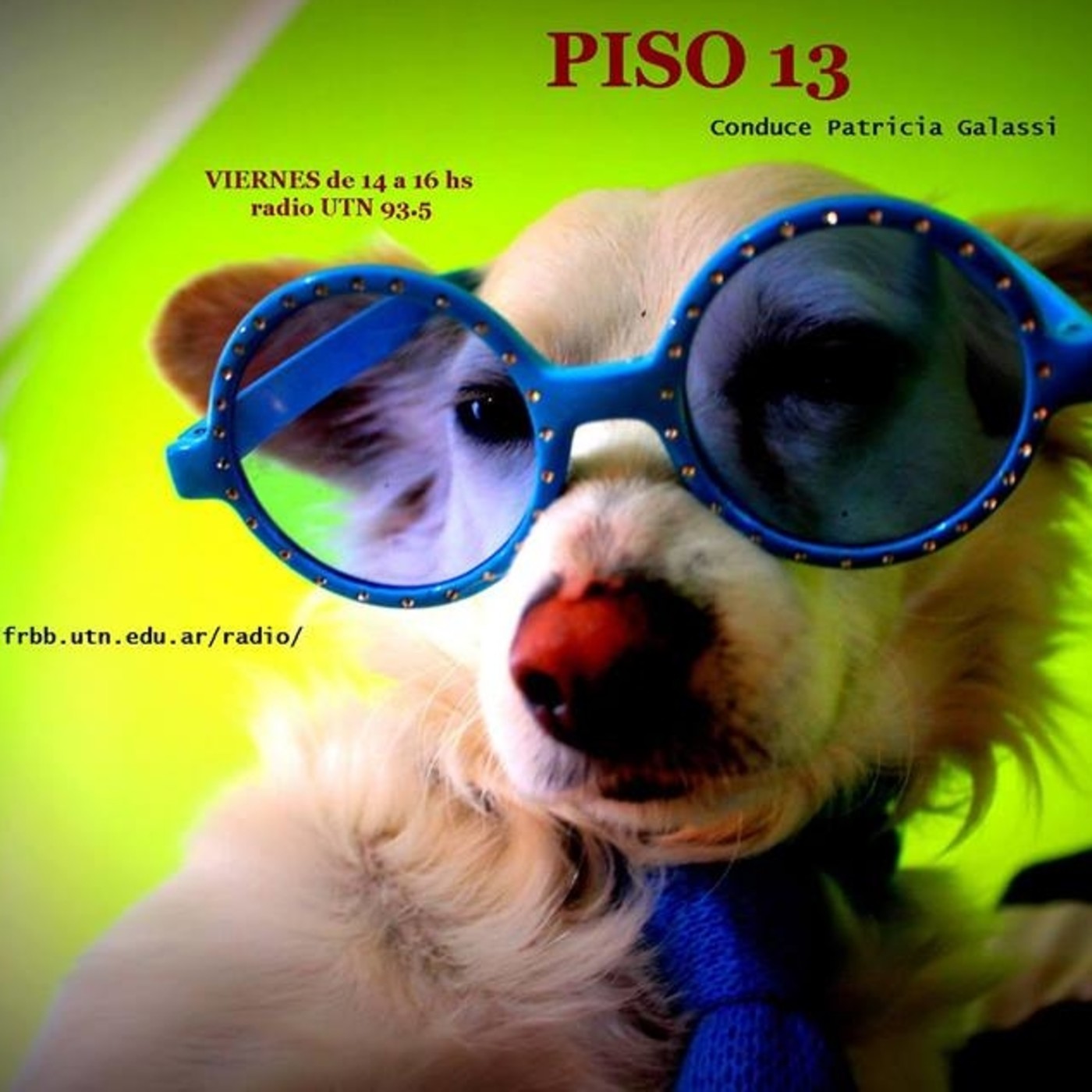 Piso 13