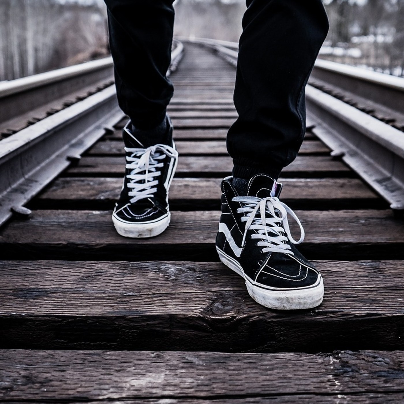 Entradas blog Osoa Accion Integral