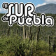 Al Sur de Puebla - 08 Julio 2020