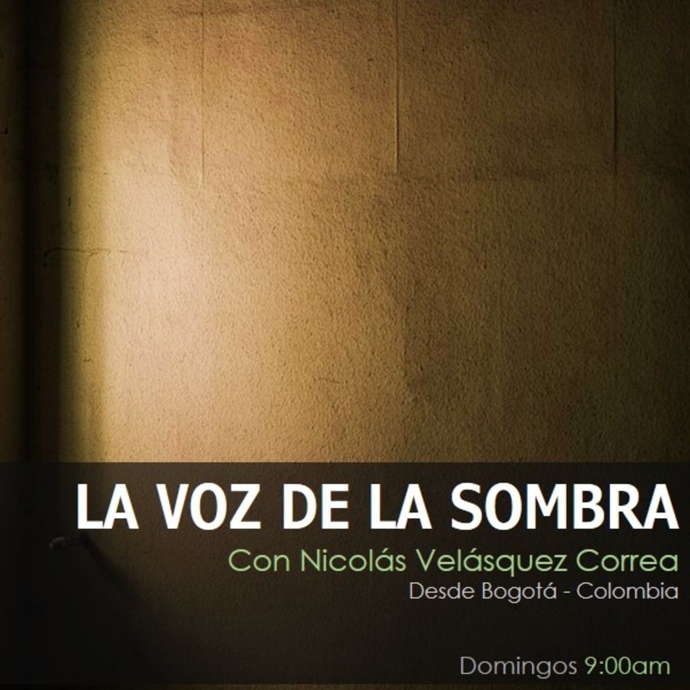 LA VOZ DE LA SOMBRA