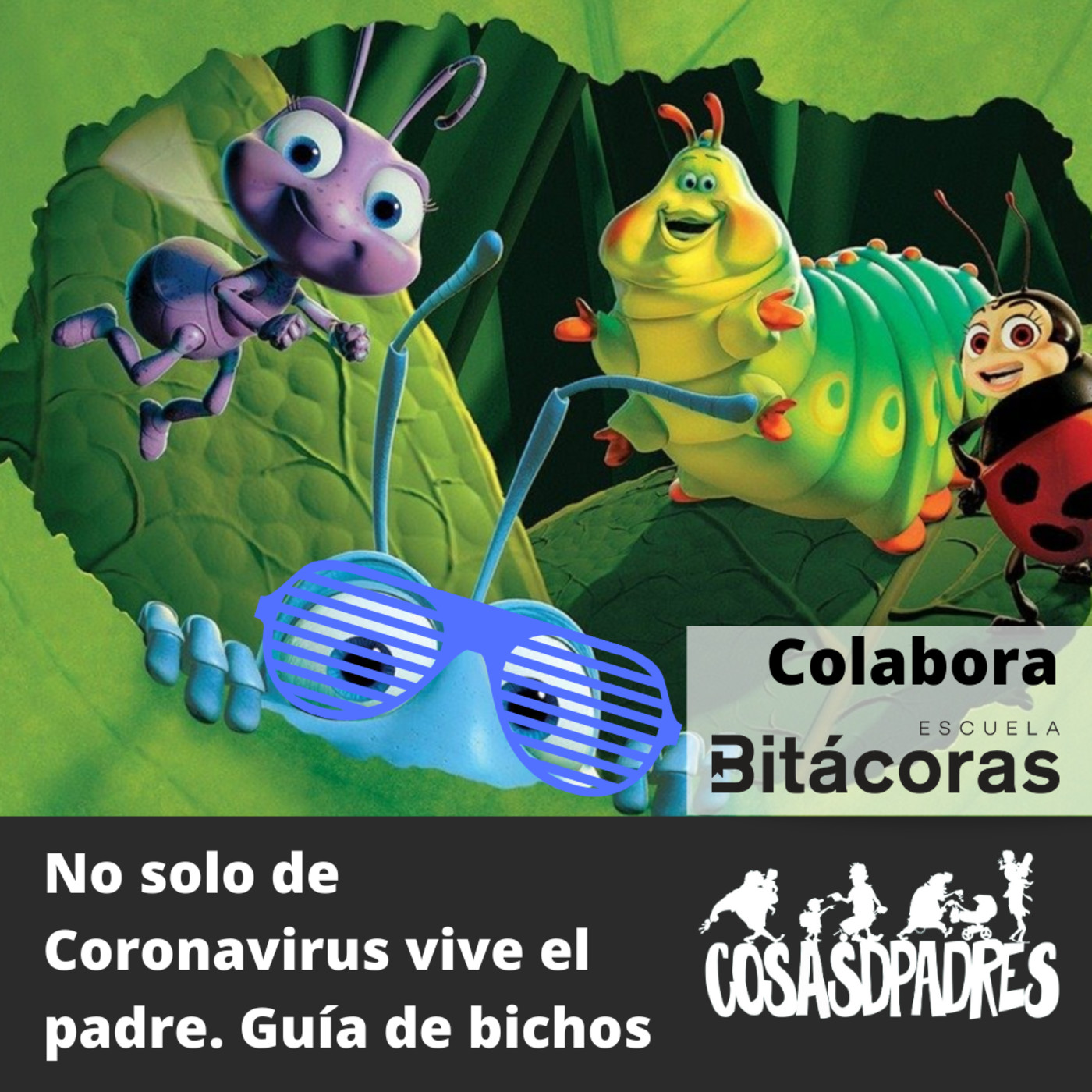 Cosas D Padres