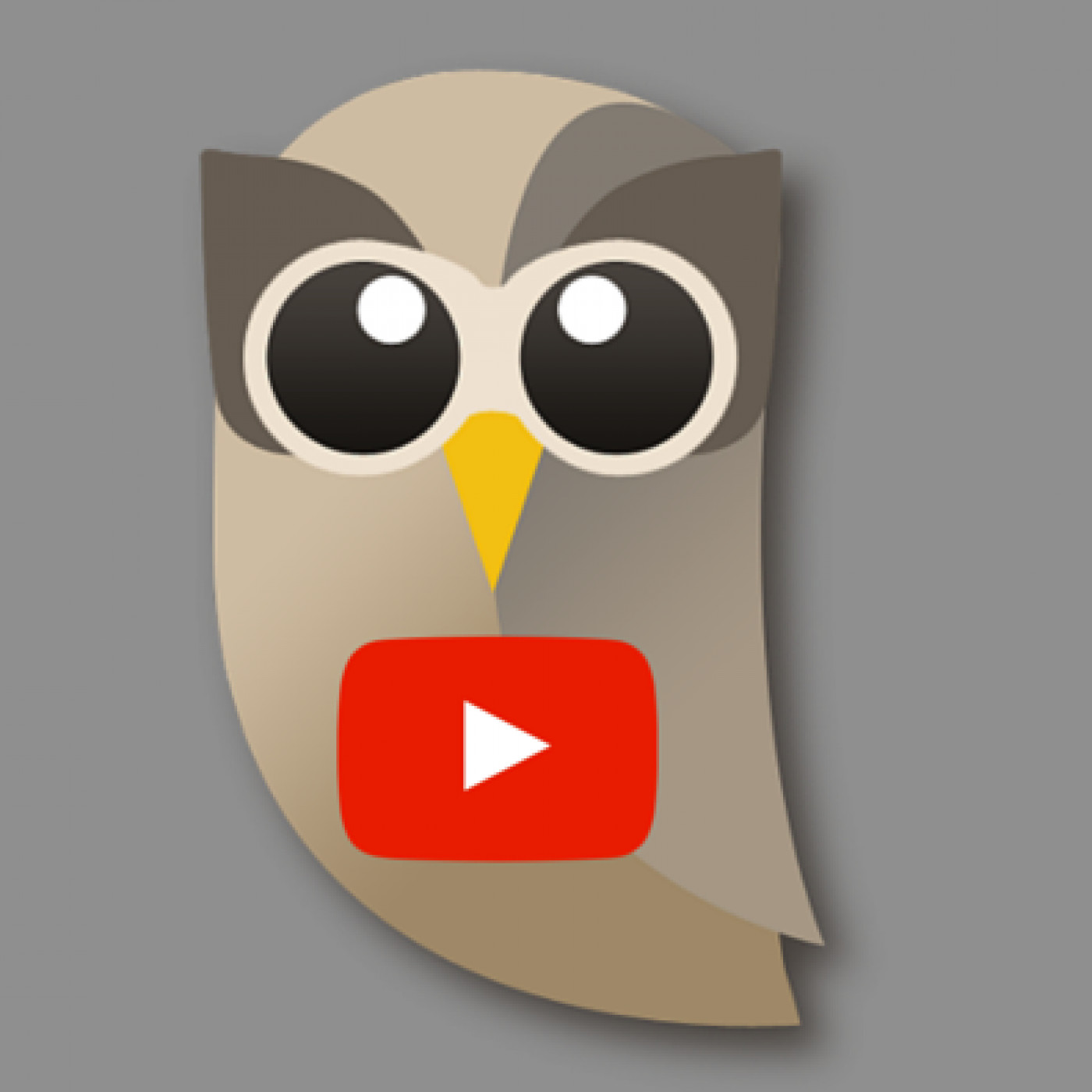 Programa y gestiona tus vídeos de Youtube con Hootsuite Programa y gestiona tus vídeos de Youtube con Hootsuite