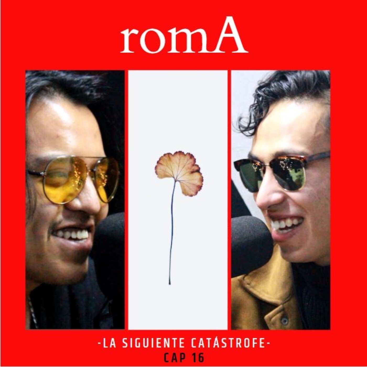 La Siguiente Catástrofe