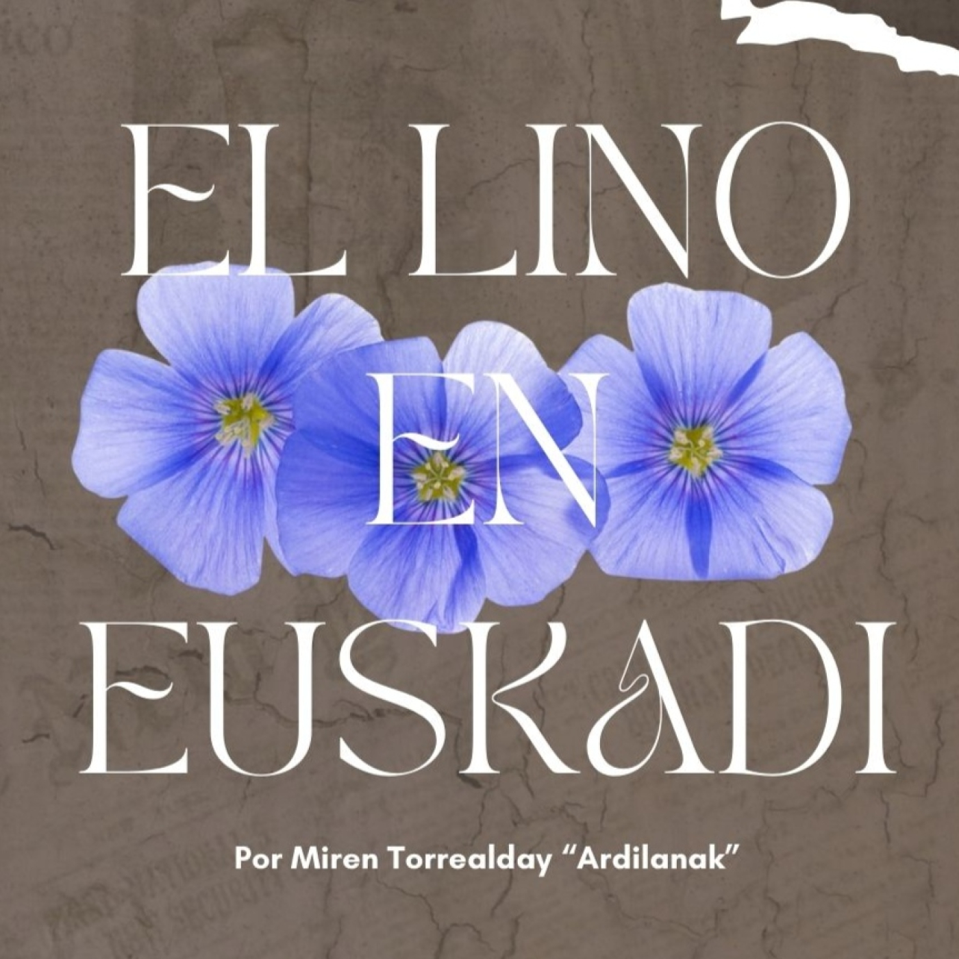 Ardilanak