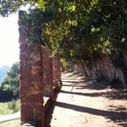 SN #53: Cuestiones sobre el camino espiritual (1º aniversario de Sendero a la Nada)