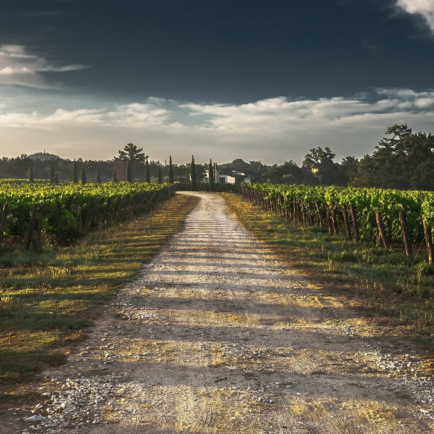 Sobre la crisis actual. Lorenzo Trujillo