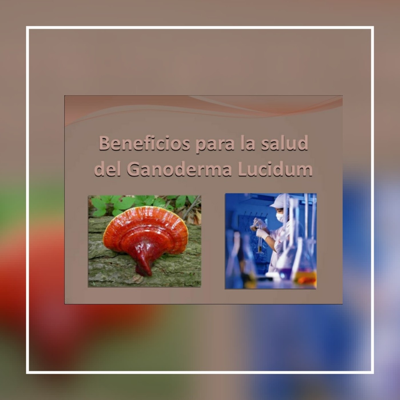 Ganoderma lucidum Testimonios