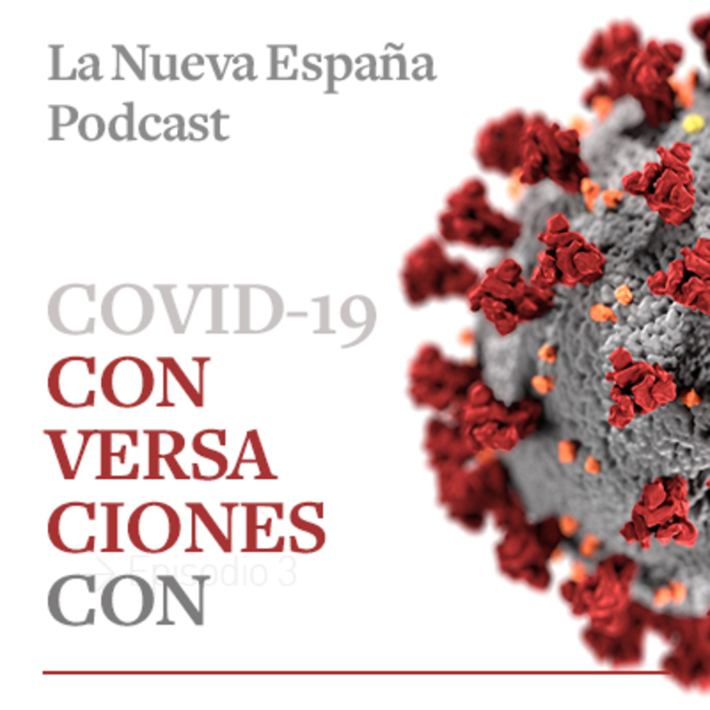 Conversaciones con Covid-19