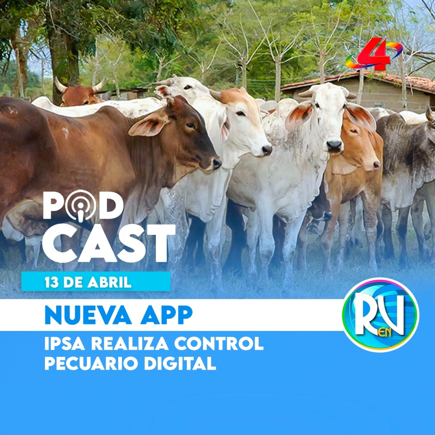 Revista en Vivo de Canal 4 Nicaragua
