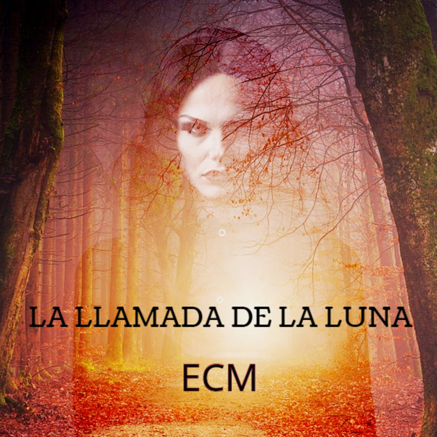 La Llamada De La Luna (LLDLL)