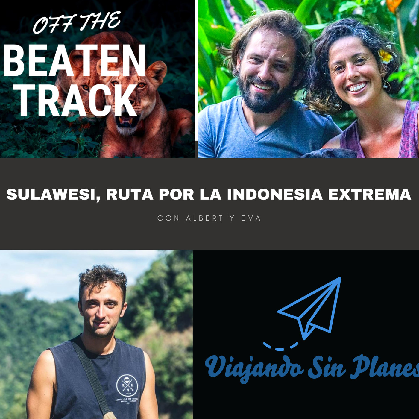 Viajando Sin Planes