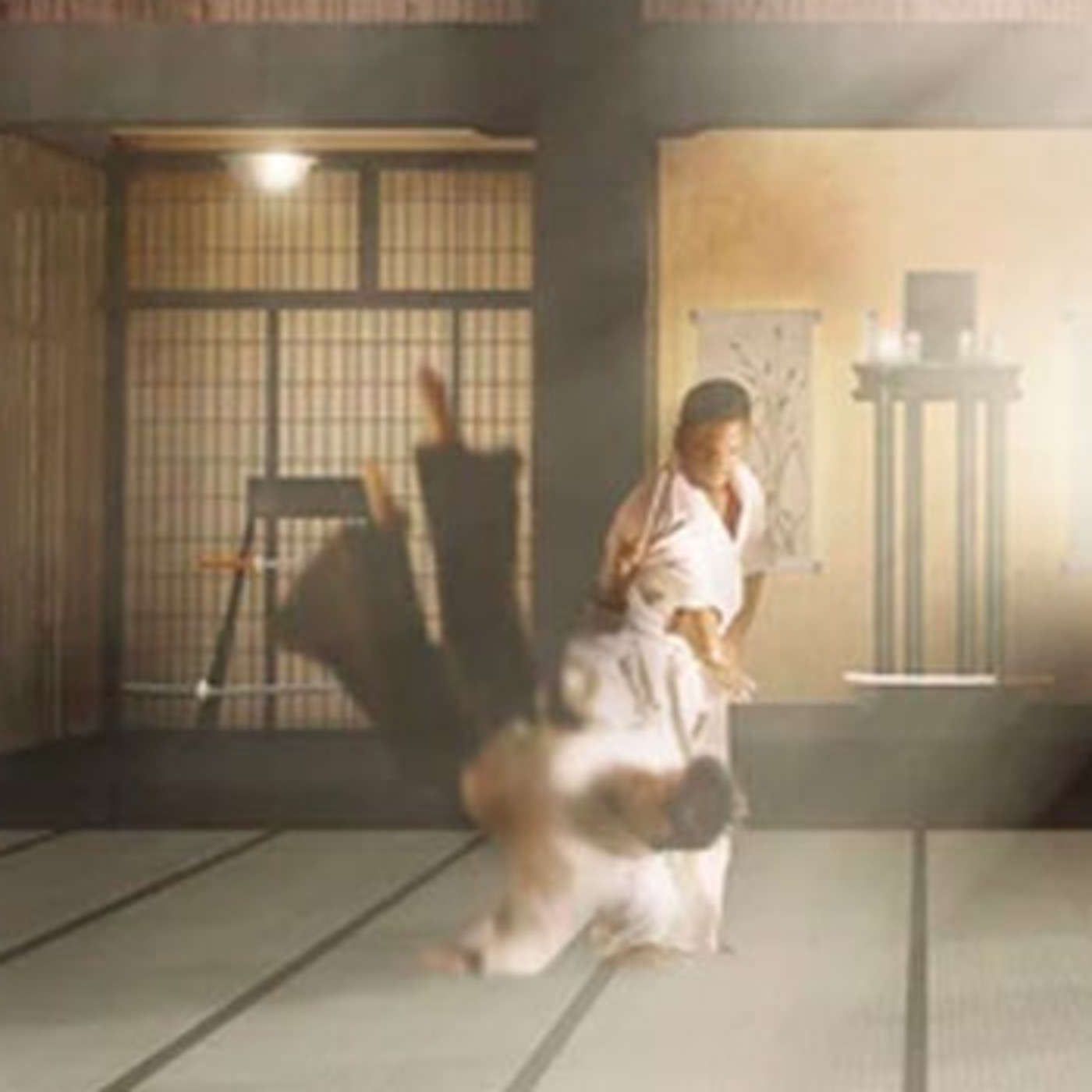 Dragonz | Artes Marciales y Deportes de Contacto