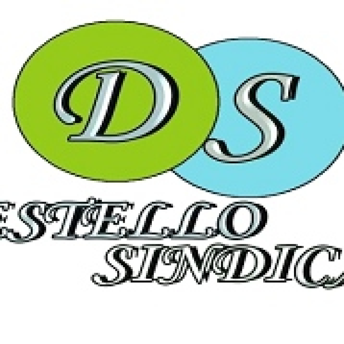 Destello Sindical 15042024P290