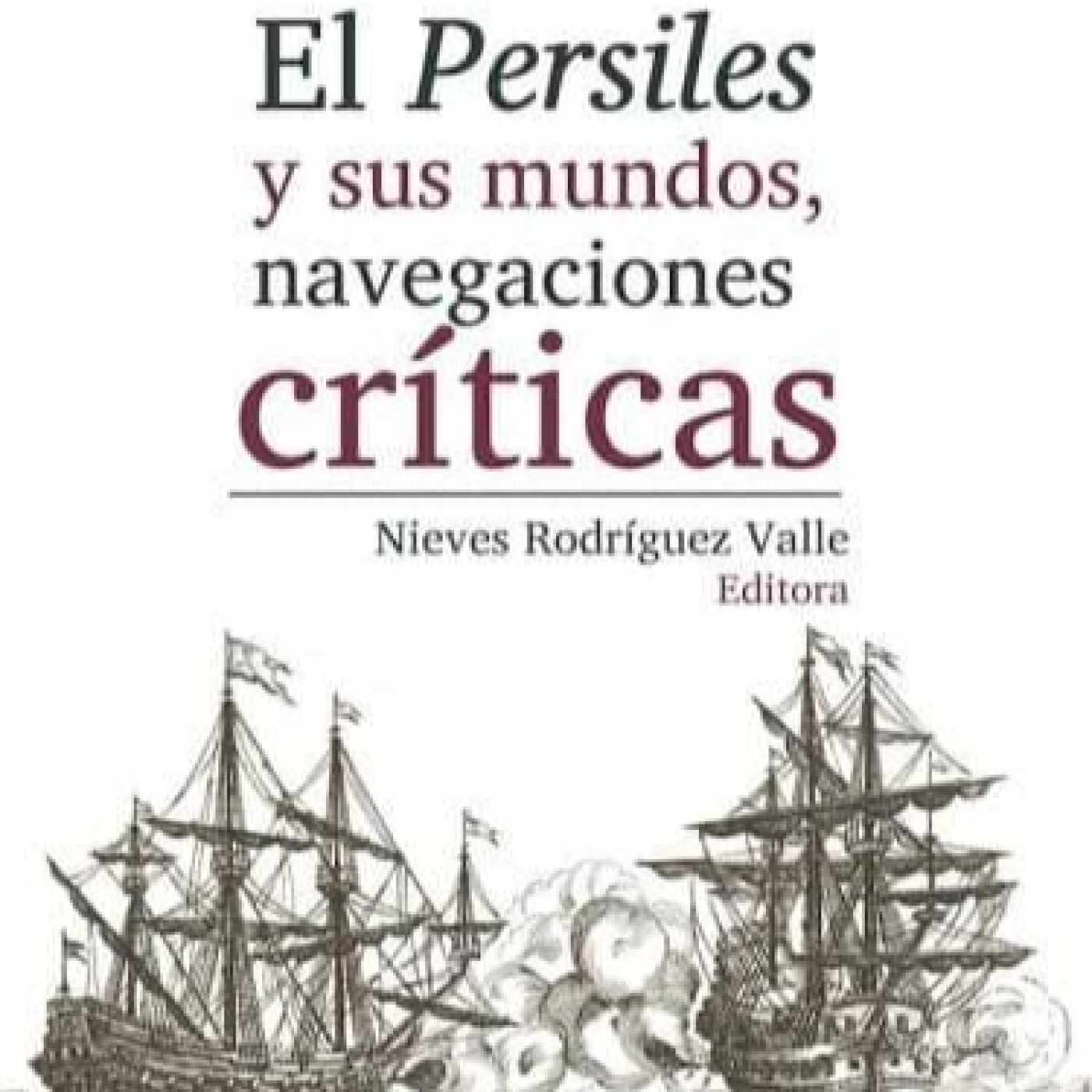 Apiedepágina IMER