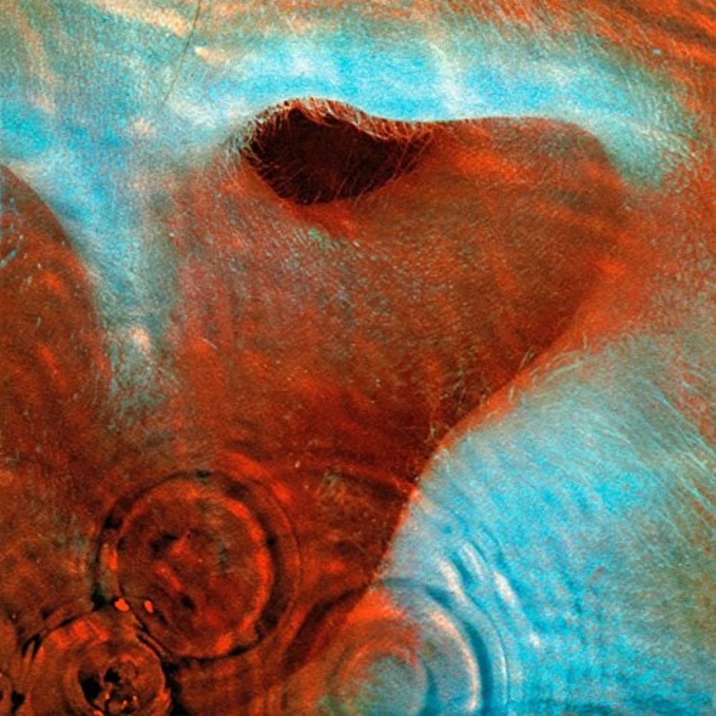 Dossier TiR nº 34, 2016-05-06 Pink Floyd - Meddle episode artwork