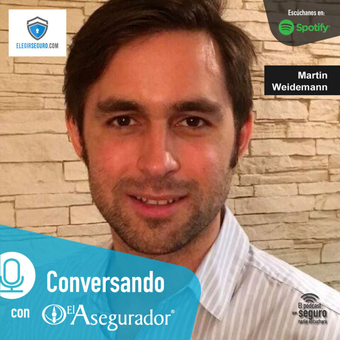El Asegurador