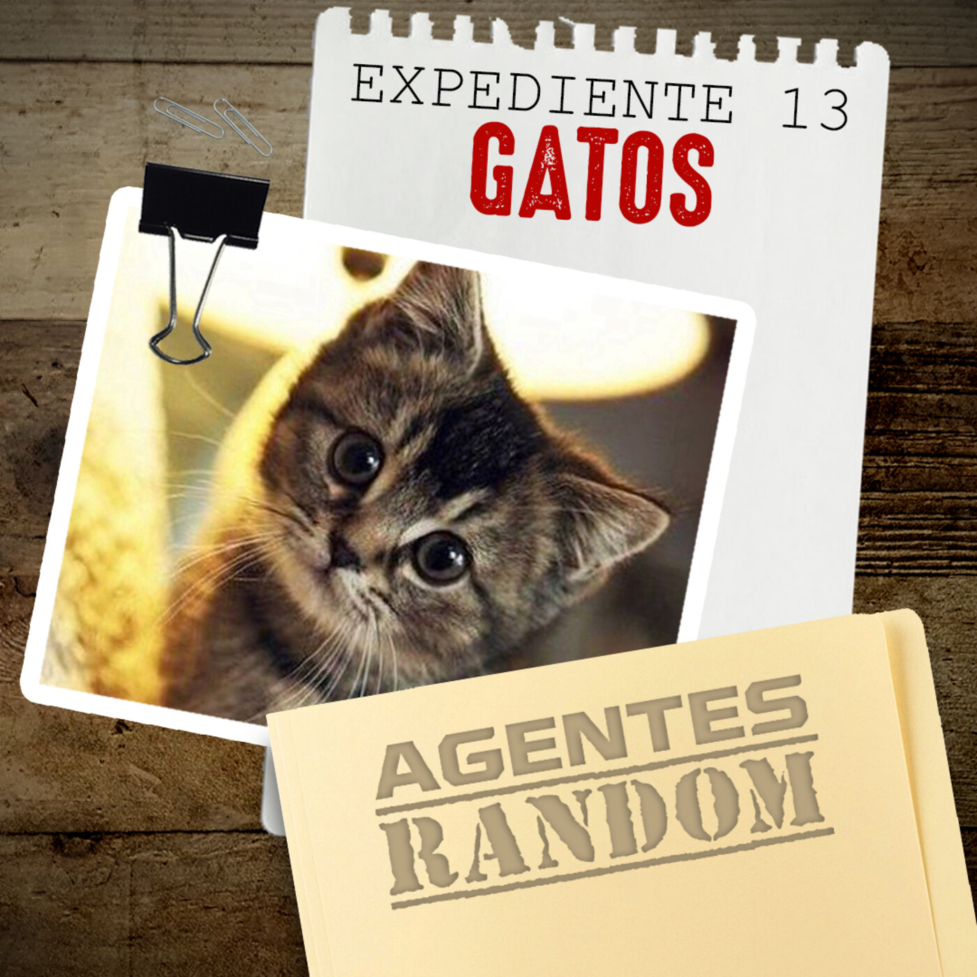 Agentes Random
