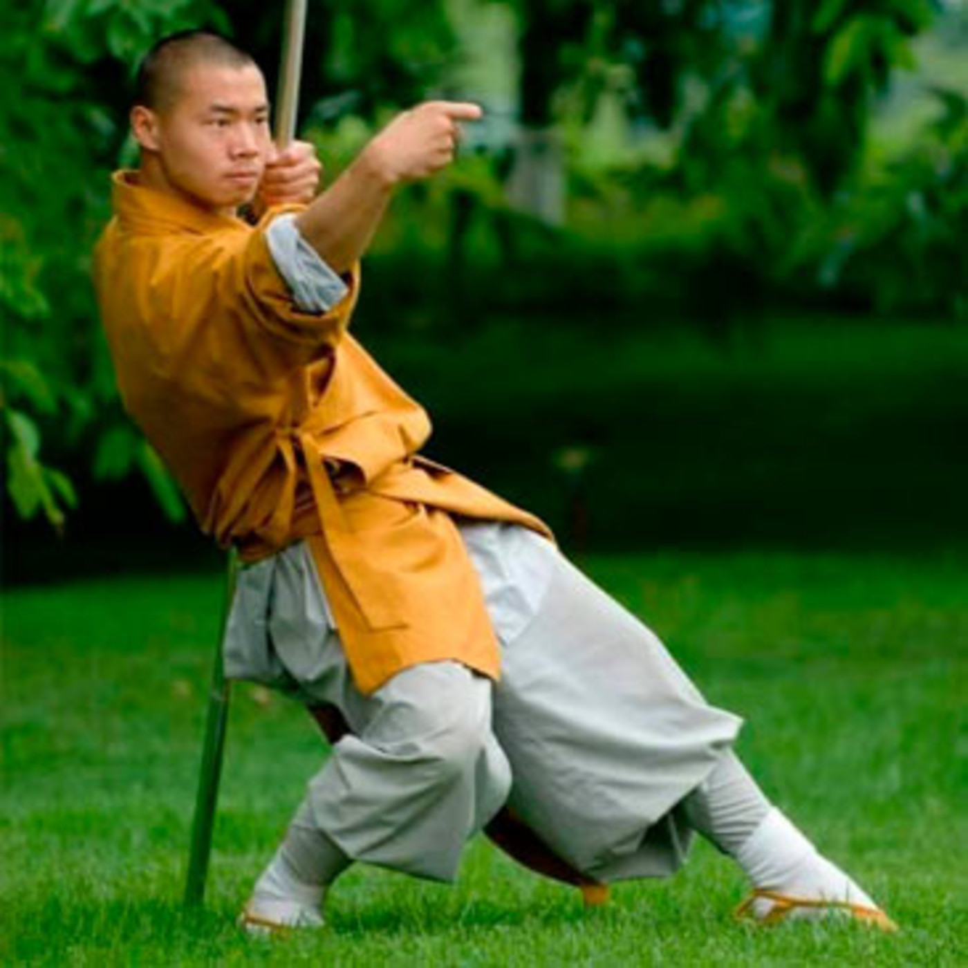 Dragonz | Artes Marciales y Deportes de Contacto