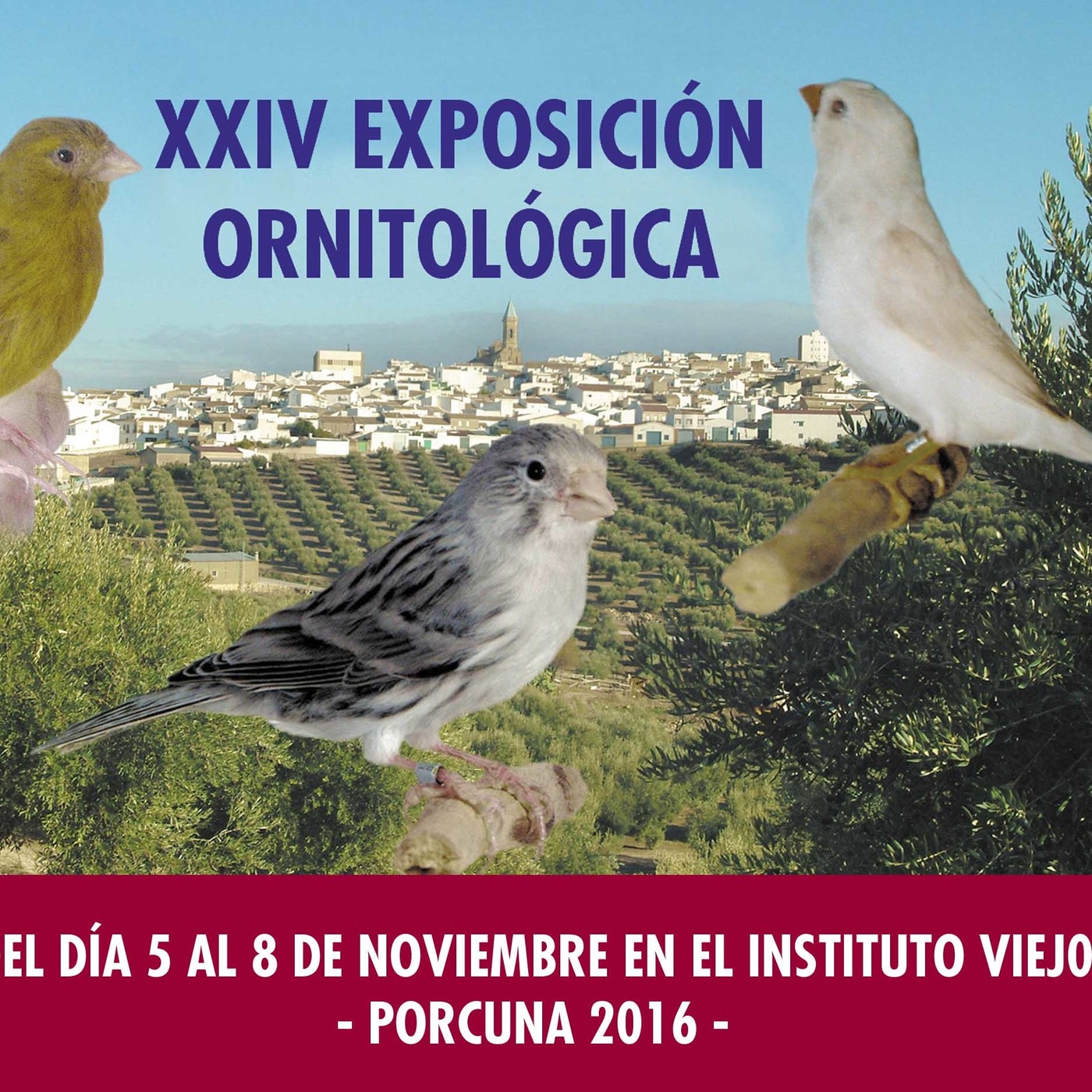 Juan Antonio Checa habla del Concurso de Ornitología de Porcuna episode artwork