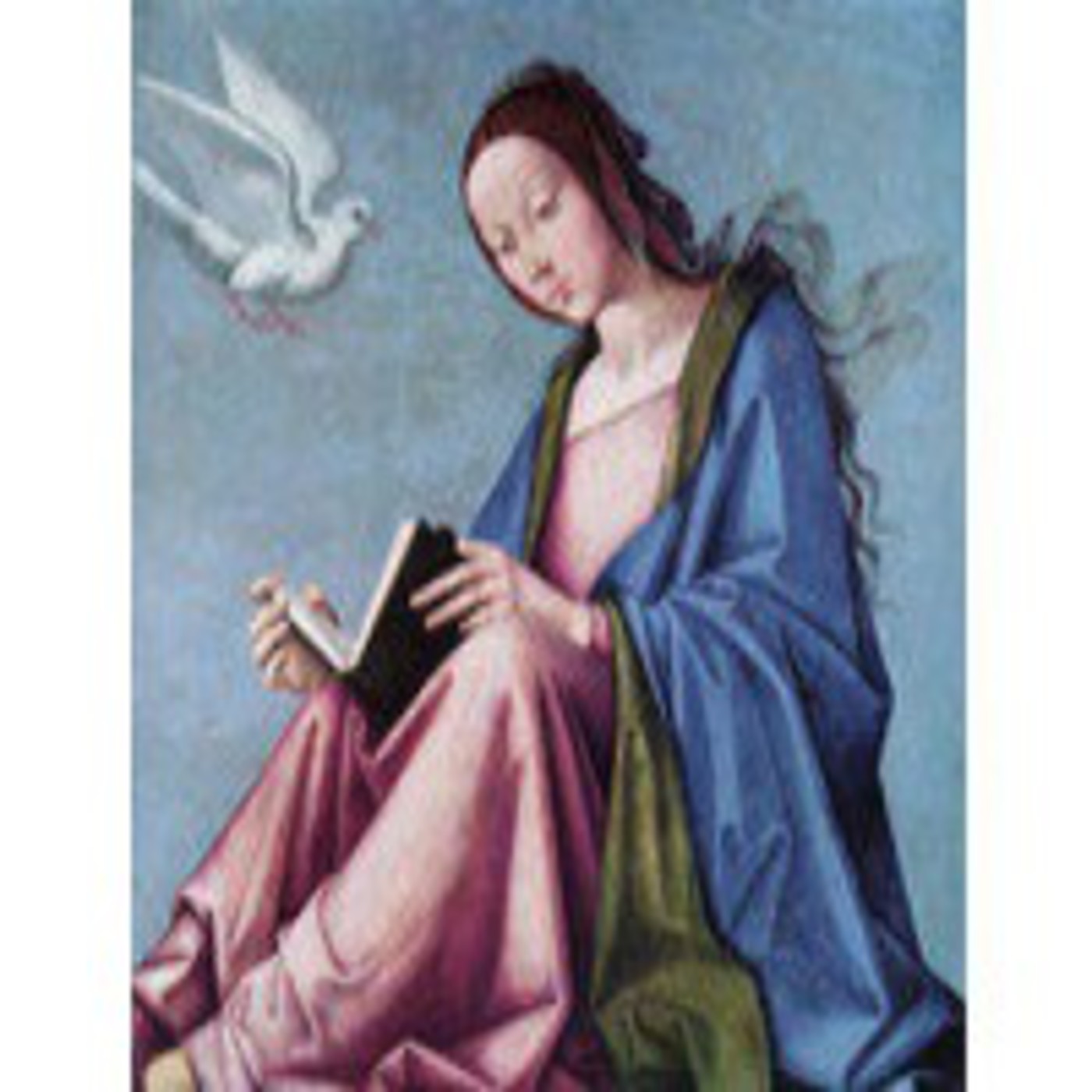 Audio libros de AudioLibro.org