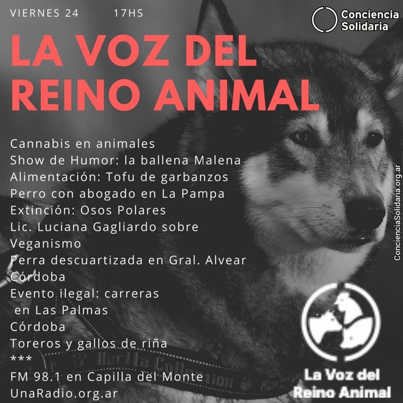 #LaVozDelReinoAnimal 24.07.2020 episode artwork