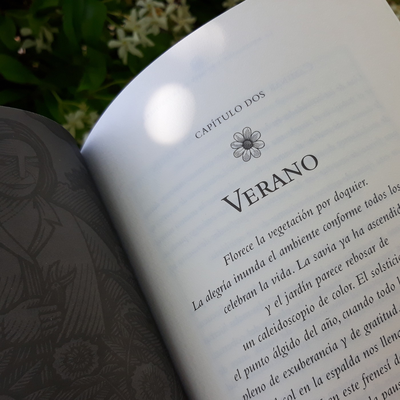 L\'art de No Fer