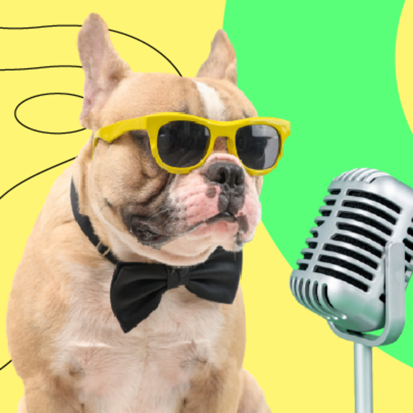 Tips para que tu mascota sea influencer episode artwork