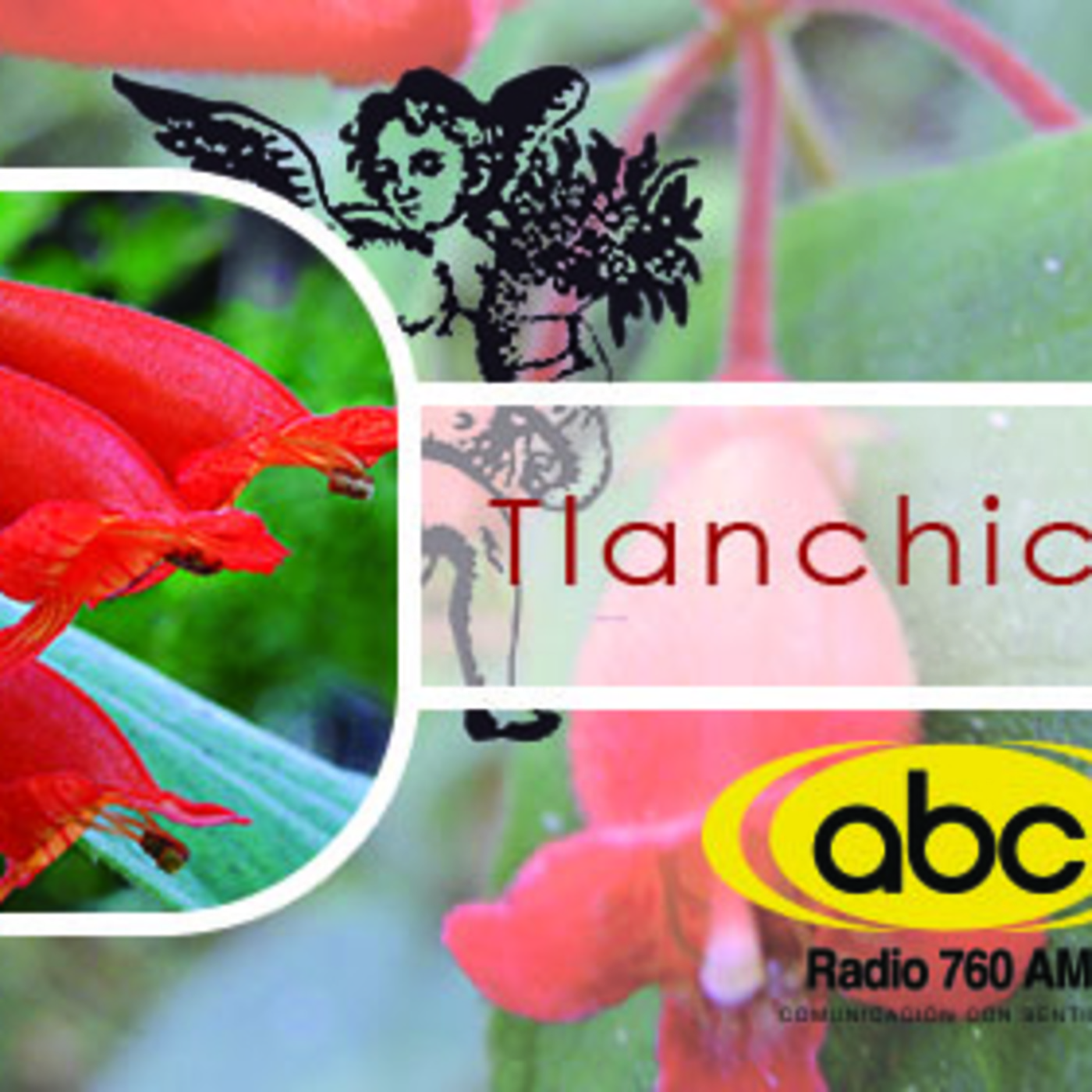 El Angel de tu Salud - TLANCHICHINOLE II episode artwork