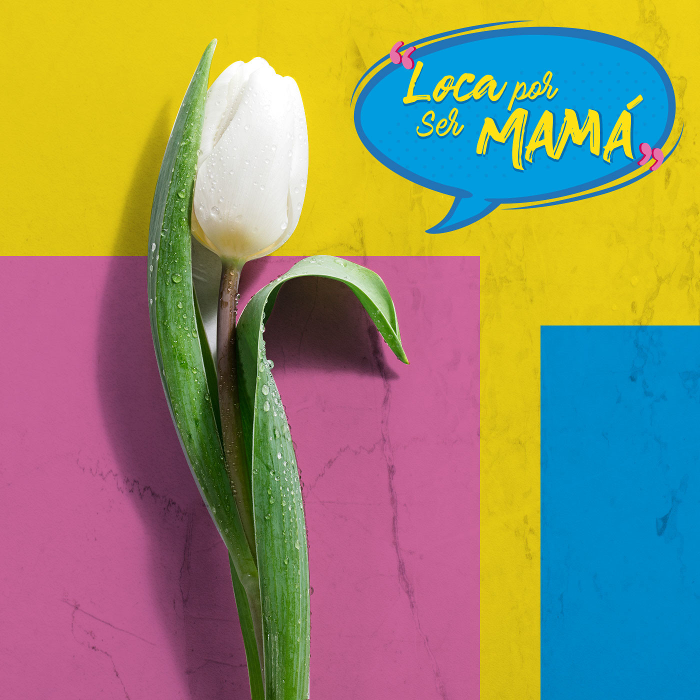 locaporsermama11