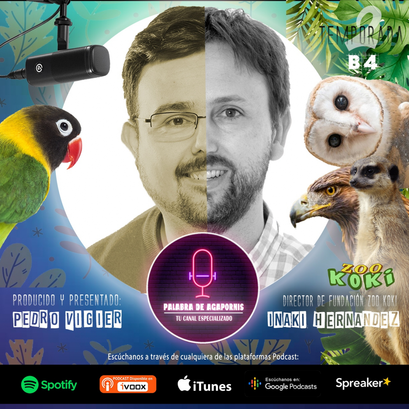 B4 Zoo Koki- Una parada obligada, un descubrimiento en Toledo