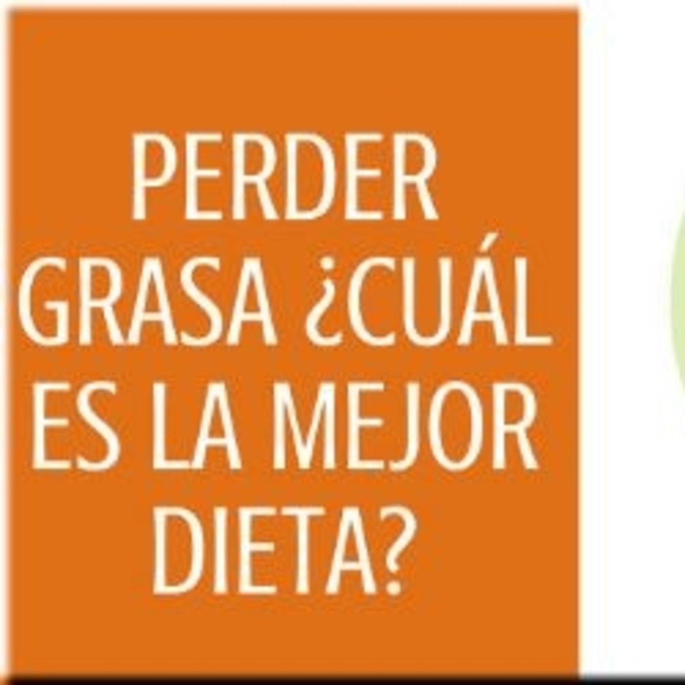 Mis dietas para adelgazar