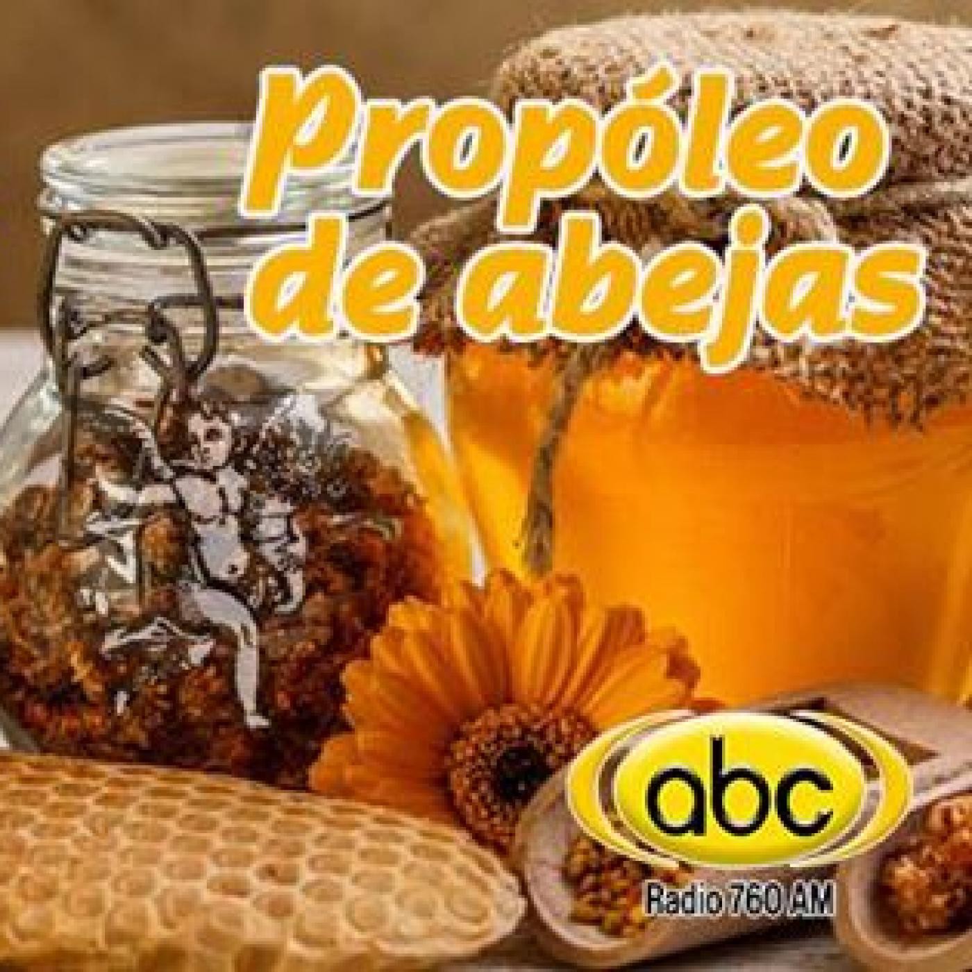 EL ÁNGEL DE TU SALUD- Rodrigo Mondragón -PROPOLEO DE ABEJAS