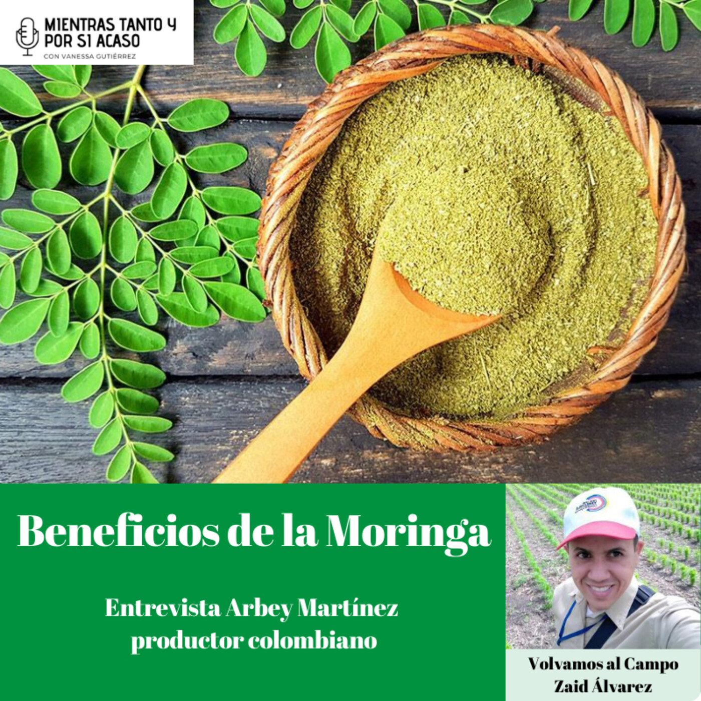 Columna Volvamos al Campo