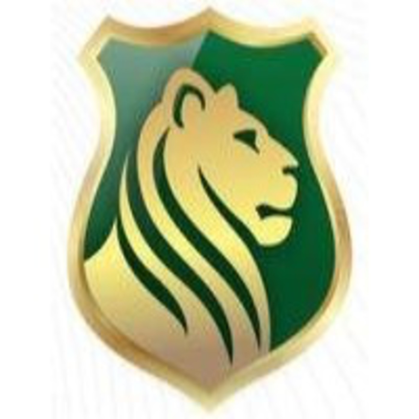 AMVISI Sistema Integral Visiòn Amèrica