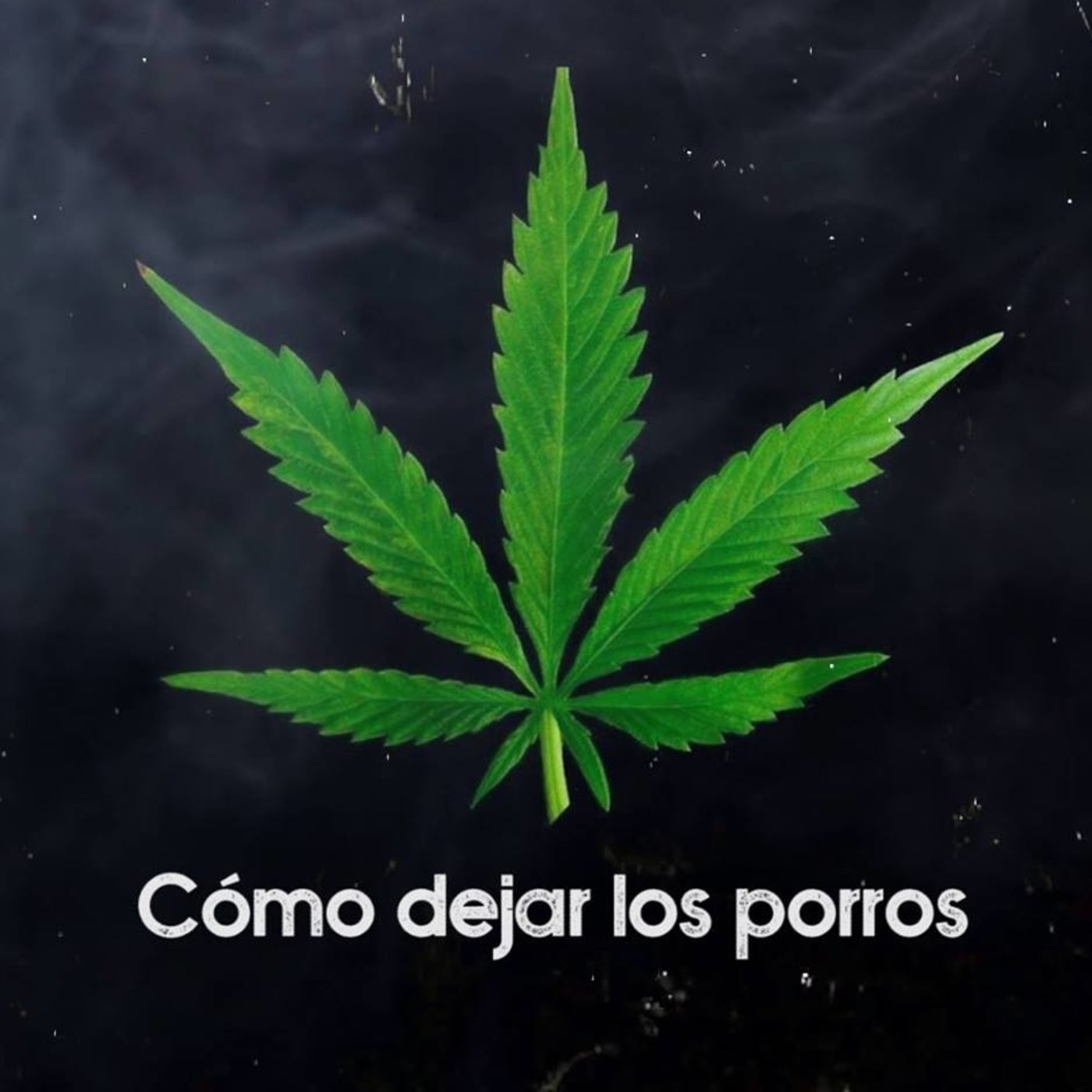 Cómo dejar los porros