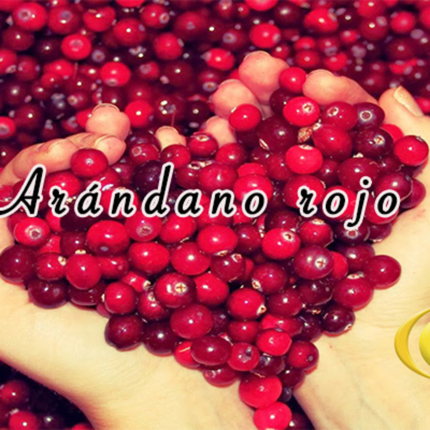 El Angel de tu Salud - ARANDANO ROJO
