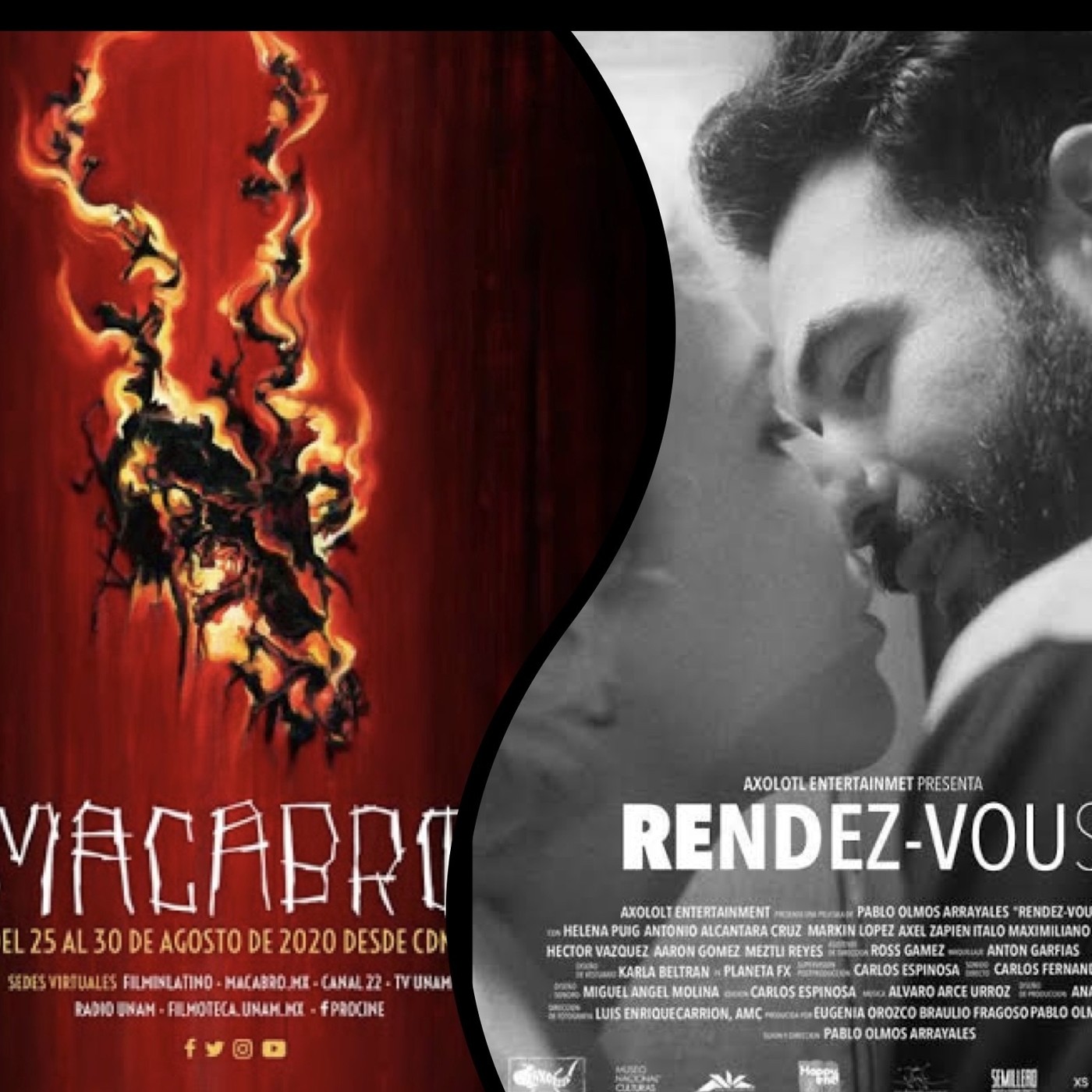 Cuauhtémoc Ruelas (Crítico de cine)