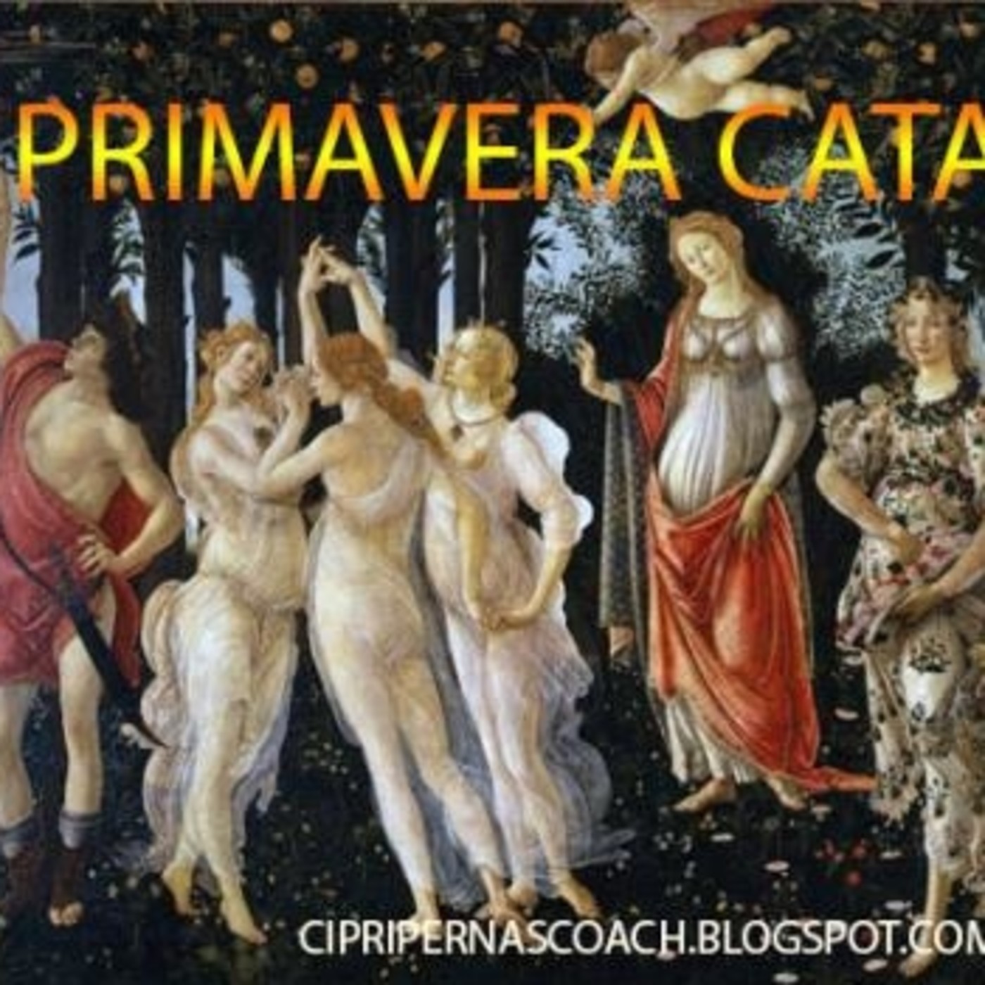 cipripernascoach