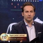 Cuarto Milenio: Odiseas de cuatro patas en Cuarto Milenio (Oficial ... Cuarto Milenio: Odiseas de cuatro patas en Cuarto Milenio (Oficial ...