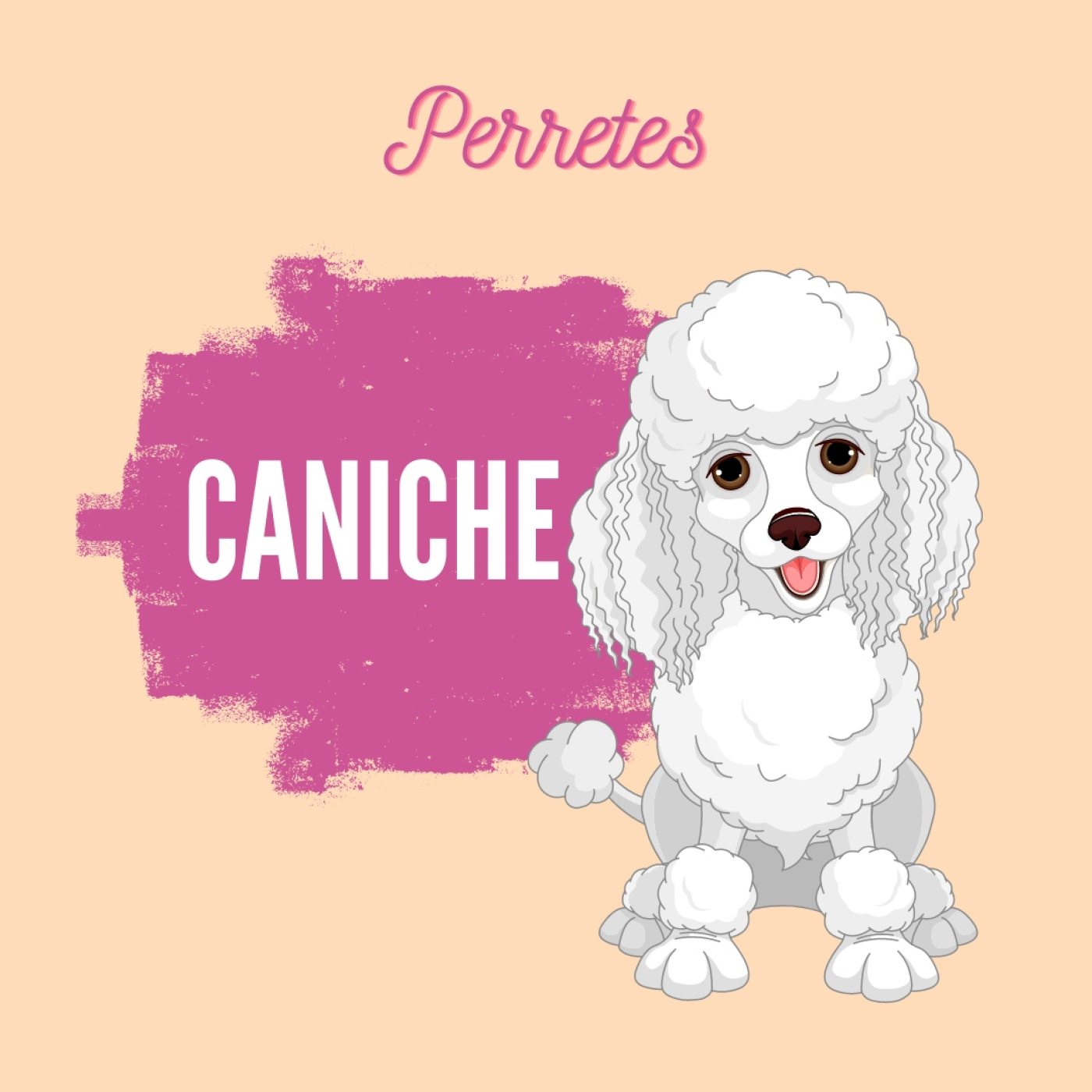 Perretes | Las razas de perros