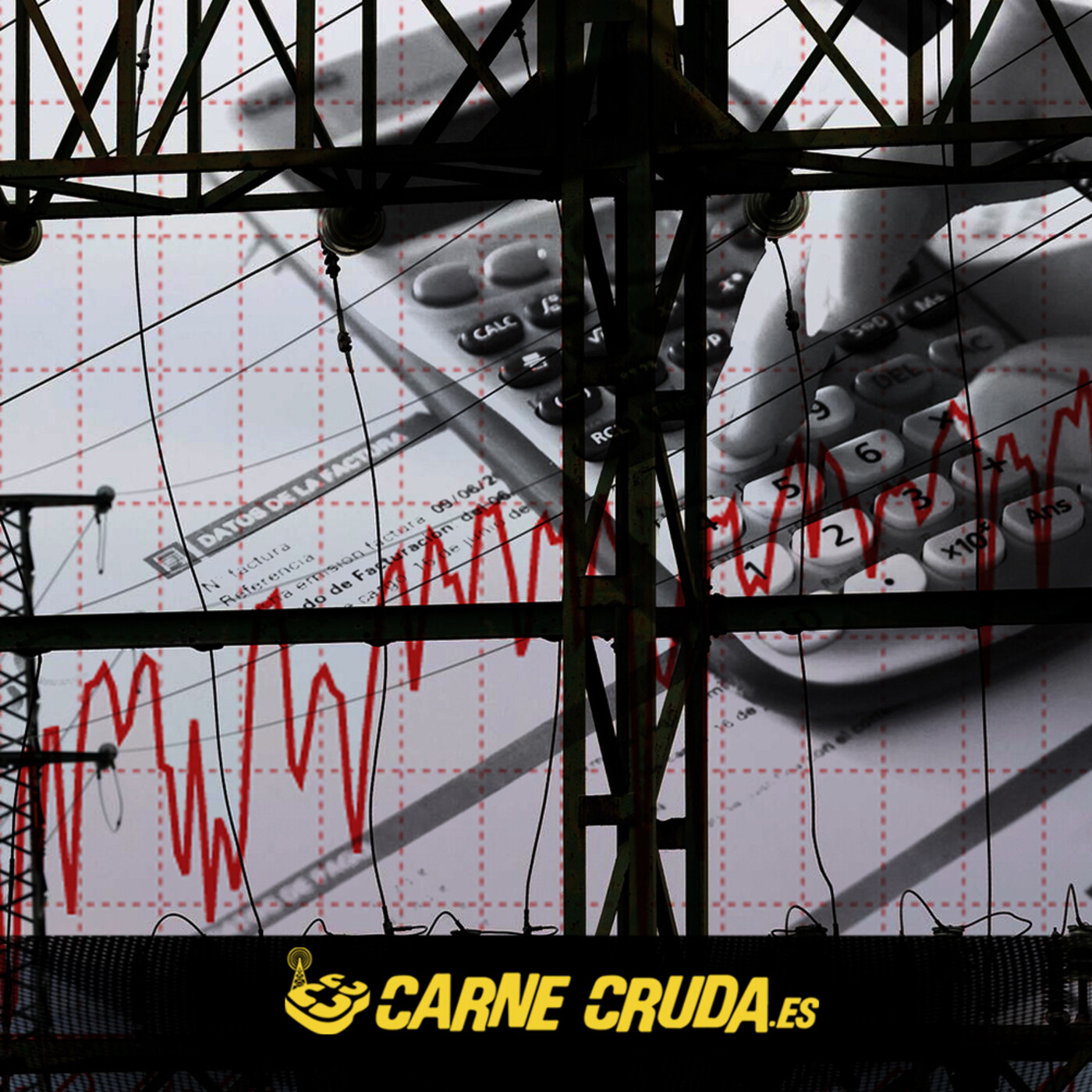 Carne Cruda - PROGRAMAS