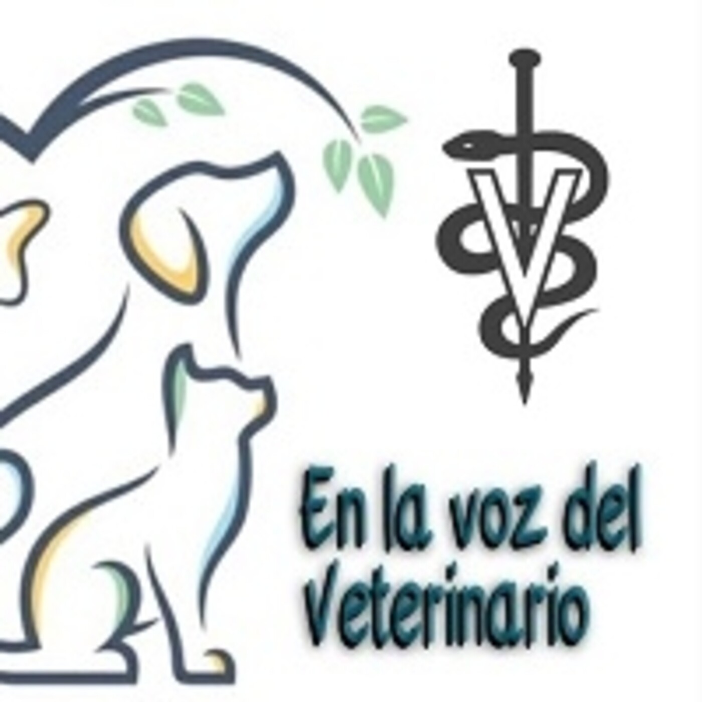 En la Voz del Veterinario 180521 p138. episode artwork