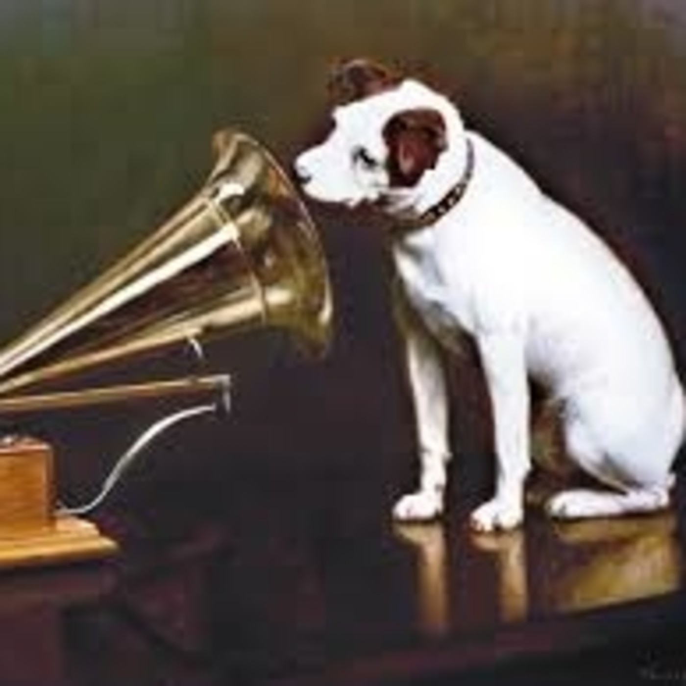Música y perros episode artwork