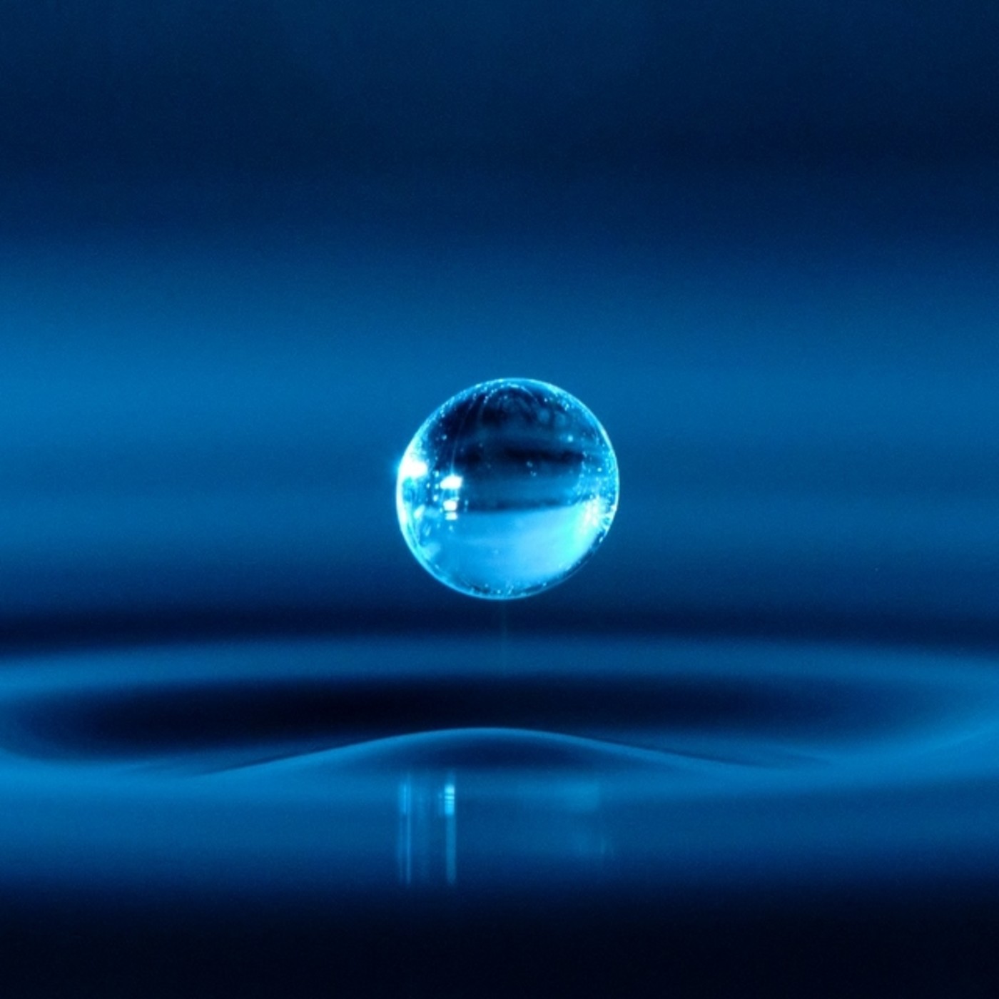 La Brújula de la Ciencia