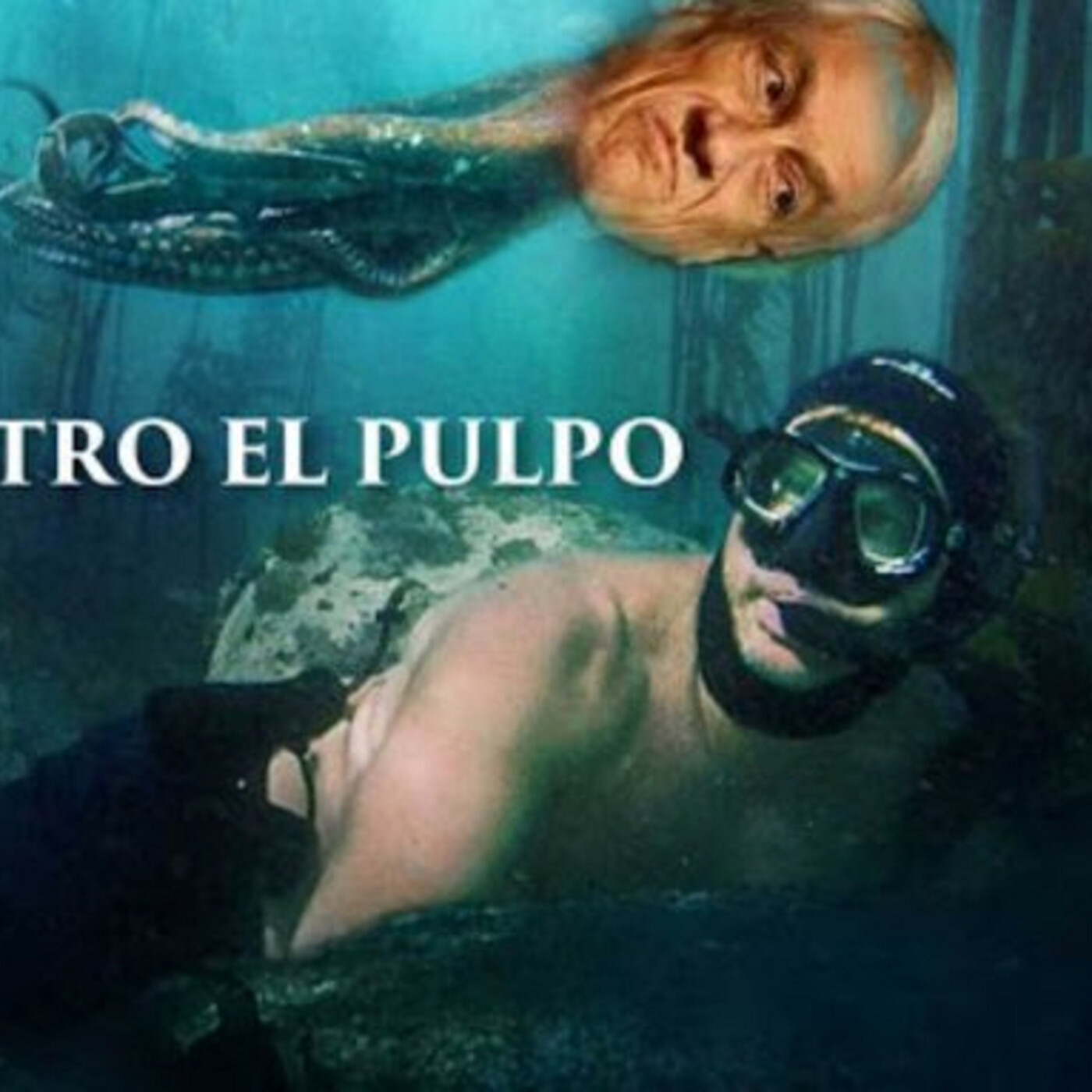 Alberto Mayol en medios