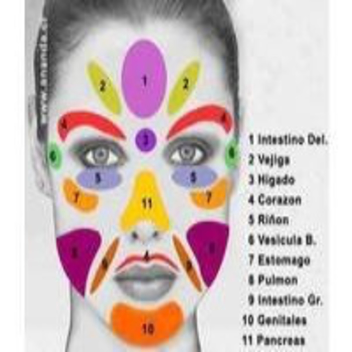 Paloma, DeLaSaLuDyLaBuEnAvIdA, Oir o Escuchar30-6-13